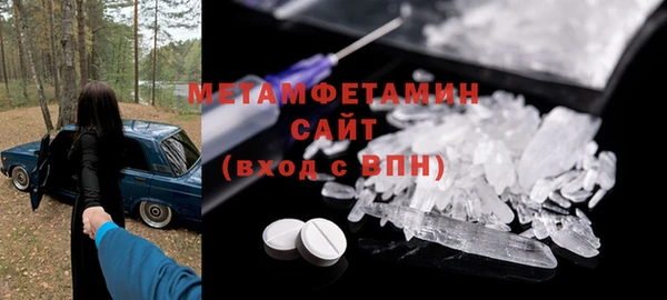 крисы Мегион