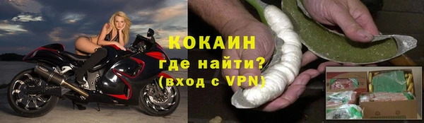 крисы Мегион