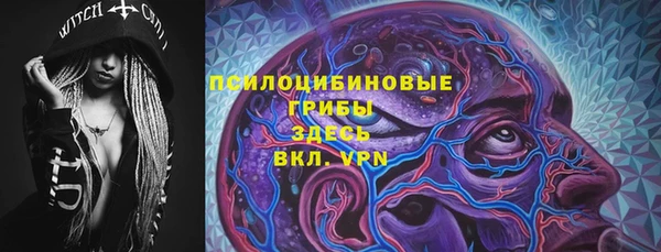 дмт Медногорск