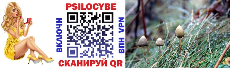 Псилоцибиновые грибы Psilocybe Зеленокумск