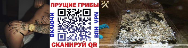 KRAKEN зеркало  Зеленокумск  Псилоцибиновые грибы ЛСД 