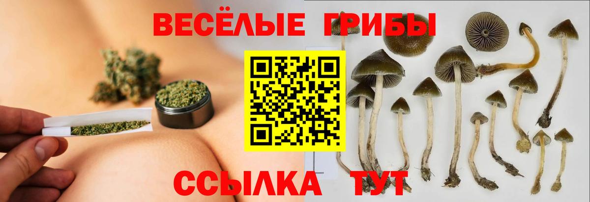 Псилоцибиновые грибы мухоморы  Вход с VPN  Зеленокумск  Галлюциногенные грибы мицелий 